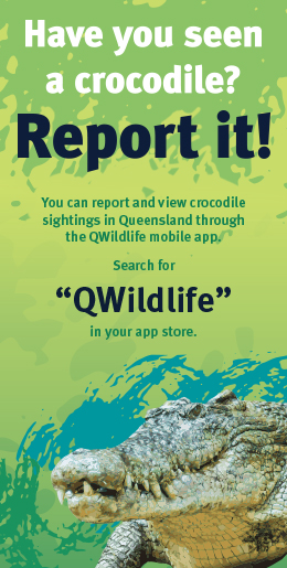 Have you seen a crocodile? Report it! You can report and view crocodile sightings in Queensland throught the QWildlife mobile app. Search for QWildlife in your app store.